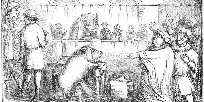 Um porco e seus leitões são julgados por matar uma criança. Ilustração do livro do dia de Chambers