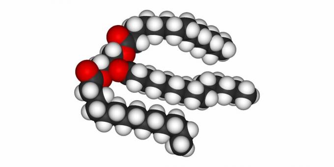 Gorduras: o modelo de triglicerídeos