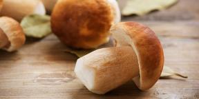 Como e quanto cozinhar cogumelos porcini