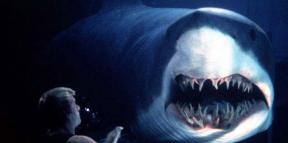 10 filmes de tubarão que vão encantar ou assustar você