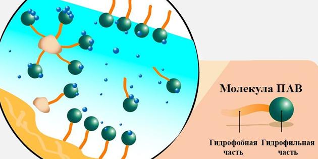 água micelar: molécula de surfactante