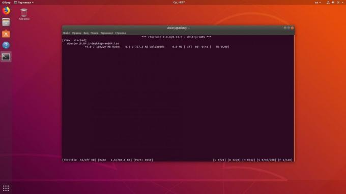 terminal do Linux permite baixar torrents