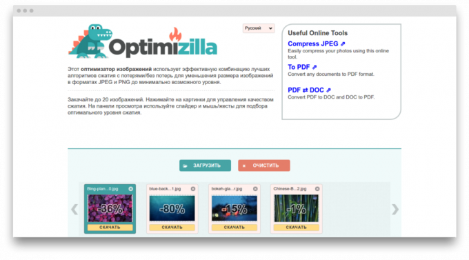 tela Optimizilla