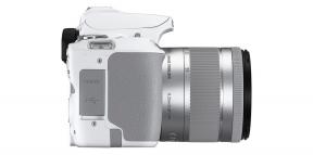 Canon apresenta a EOS 250D - uma SLR muito compacto e leve