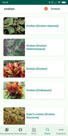 Identificar tipos de plantas de interior usando PlantSnap