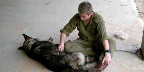 “O planeta tornou-se mais dois amigos inseparáveis”: trecho do livro de um adestrador militar de cães