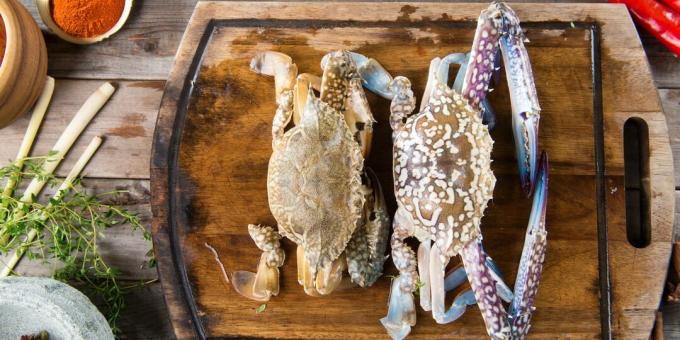 Como cozinhar caranguejos: caranguejos frescos