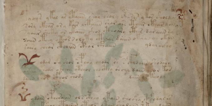 Os mistérios da história: o manuscrito Voynich