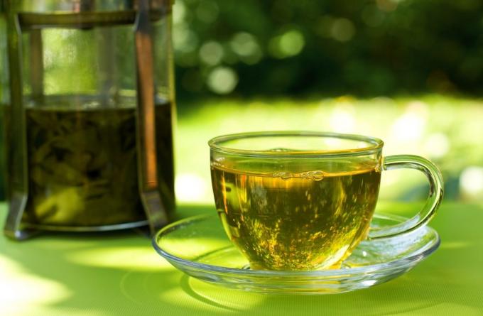 Hábitos que ajudam a perder peso: beber chá verde
