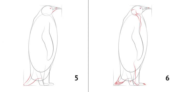 Como desenhar um pinguim