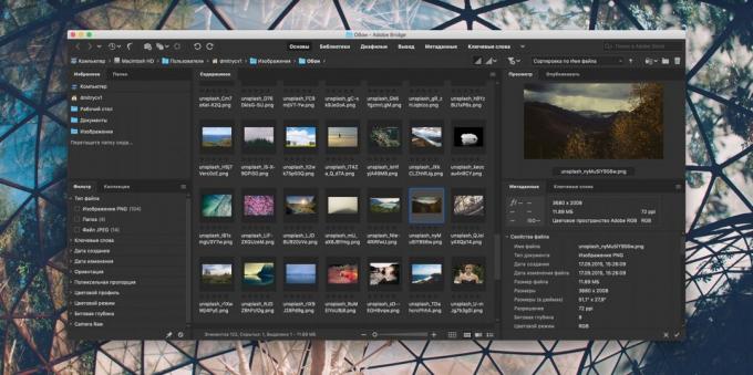 Como organizar uma coleção de fotos: Adobe Bridge
