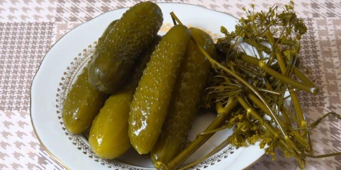 Como pepinos pickle: pickles com pão de centeio