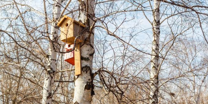 Birdhouse de madeira com suas próprias mãos