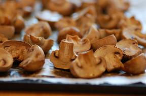 Cogumelos colhidos para o inverno: sal, nós a seco, picles (+ três receita incrível)