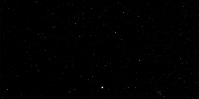 Céu estrelado: Sirius