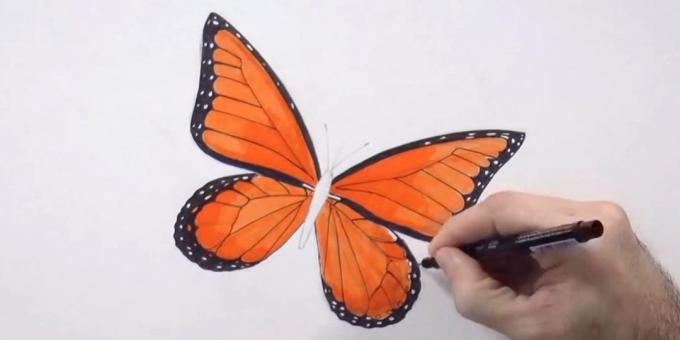 Pintar as bordas inferiores das asas e o padrão de círculo preto pequeno