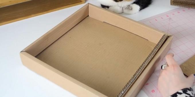 Poste para arranhar gatos faça você mesmo: insira tiras coladas na caixa