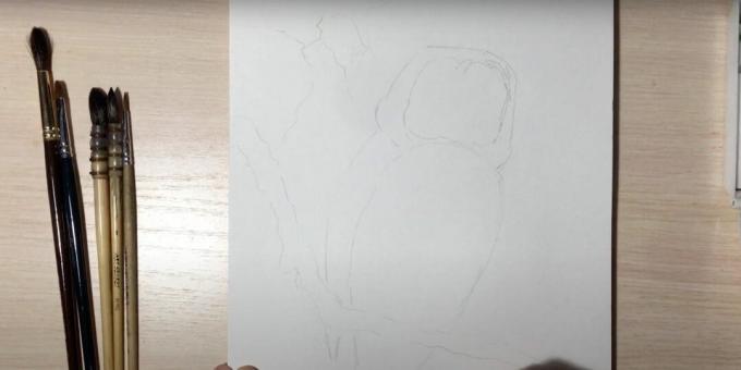 Como desenhar uma coruja: contorne o galho e o corpo de uma coruja