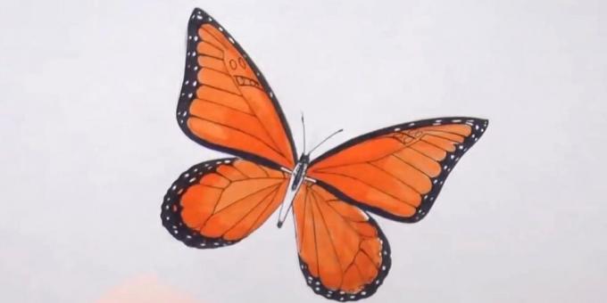 Círculo do tronco e diversificar padrão de borboleta nas asas