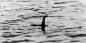 Cientistas falou sobre o DNA monstro de Loch Ness