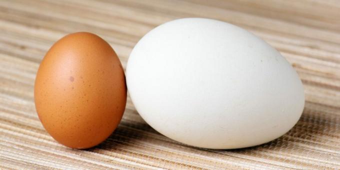 Quanto cozinhar ovos de ganso
