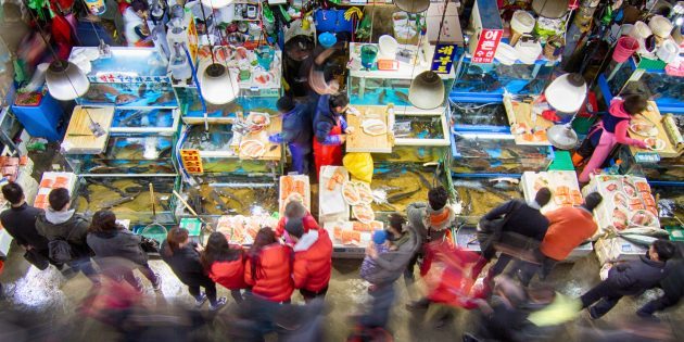 Atrações Coréia do Sul: é necessário visitar o mercado de peixe