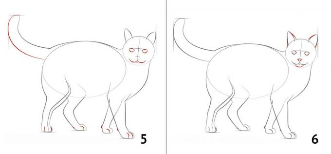 Como desenhar um gato