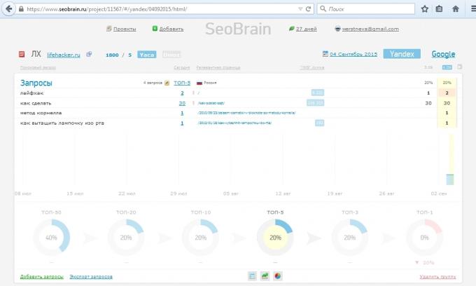Visão geral do serviço SeoBrain, relatório do projeto